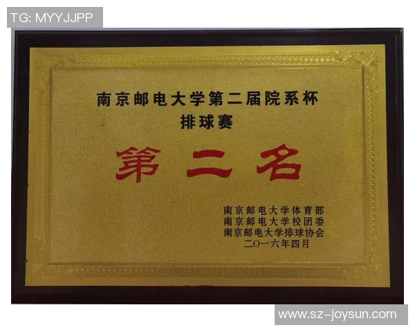 南京排球队灵活性探讨：提升竞技水平的关键因素与策略分析